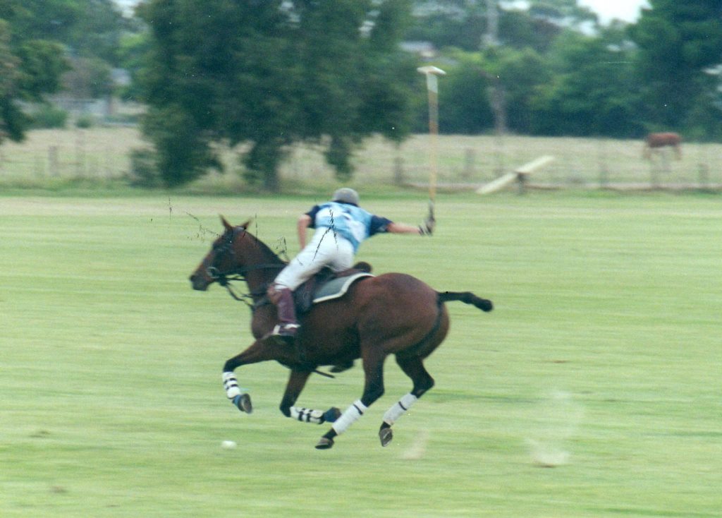Bea playing in World Cup Polo